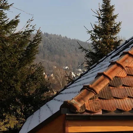 Cozy Chalet In With Large Terrace * Balgach